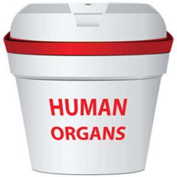 Après l’esclavage, le trafic d’organes humains.
