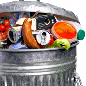 Les clés pour comprendre le gaspillage alimentaire