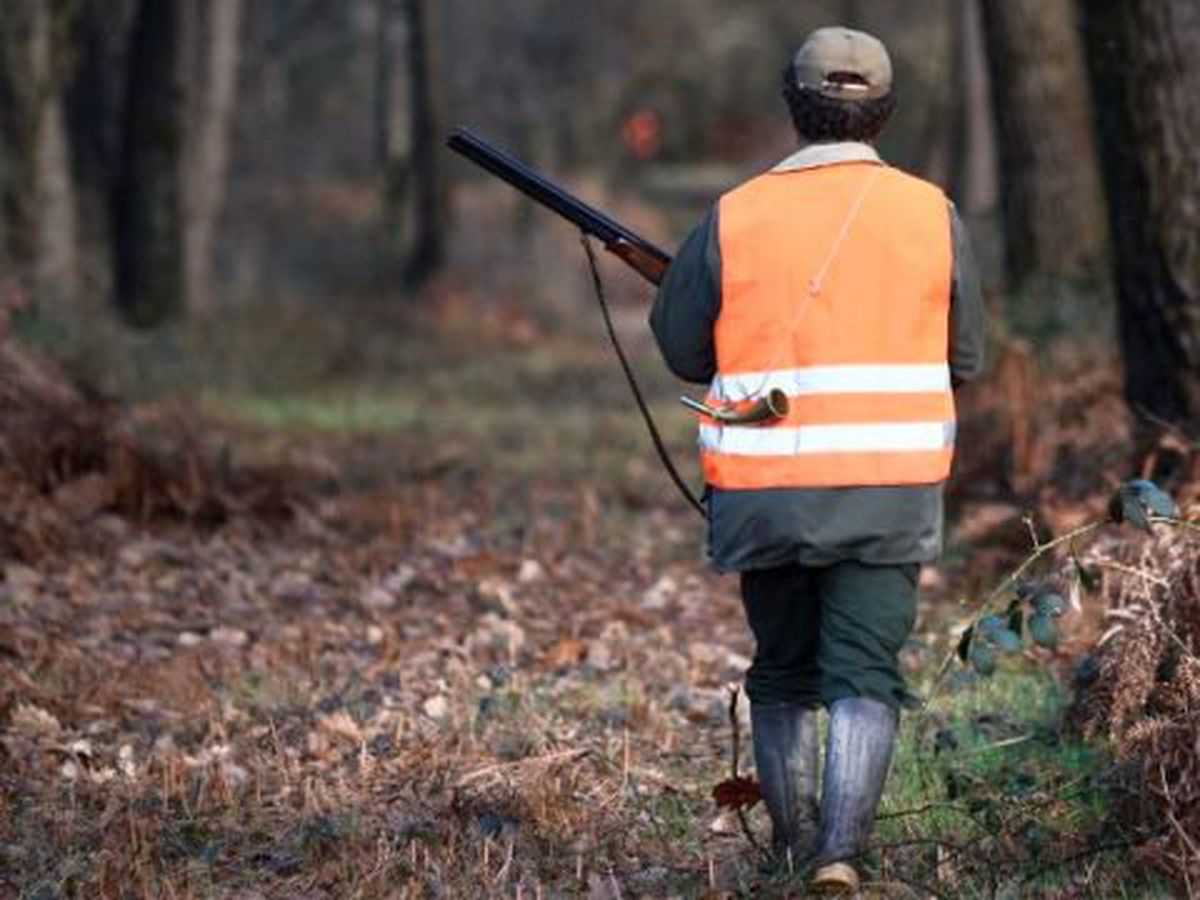 Tuer est un loisir ? La chasse est un plaisir ? La corrida, une chance pour l’animal ? Indigne pour une société évoluée, digne d’un peuple qui a perdu le sens des valeurs humaines